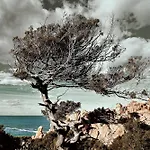 Sea View By Sardinian Seaside Retreats 빌라 코스타 파라디소