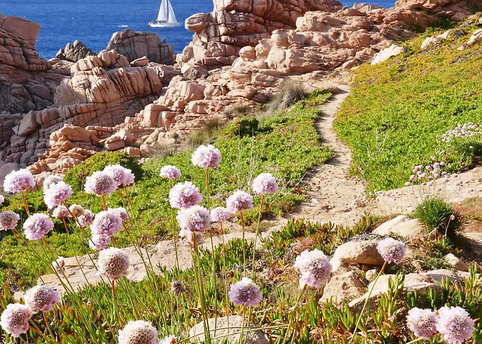 Sea View Villas Costa Paradiso By Sardinian Seaside Retreats