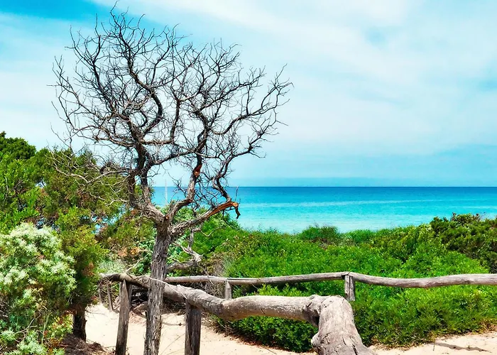 Villa Sea View Villas Costa Paradiso By Sardinian Seaside Retreats